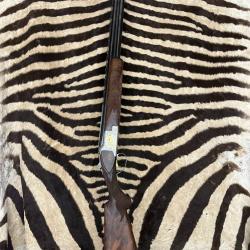 BROWNING B 25 American Pintail 12/70 ca.71cm