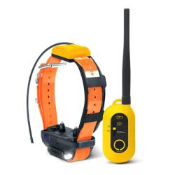 Pack Ensemble Complet Dogtra Pathfinder 2  aux encheres