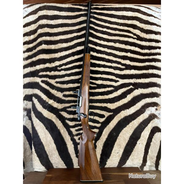 REMINGTON 700 Varmint 22-250 REM - ca.59cm  montage collier
