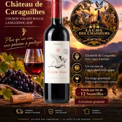 12 bouteilles chateau  Caraguilhes "le cochon volant" rouge 2024 aop Languedoc  livraison gratuite