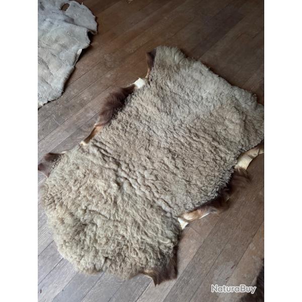 Peau de mouton
