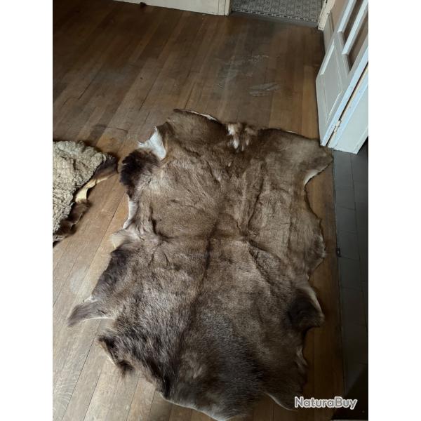 Peau de grand cervid�