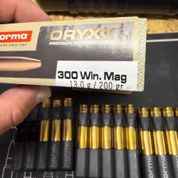Balles norma oryx 300 win mag