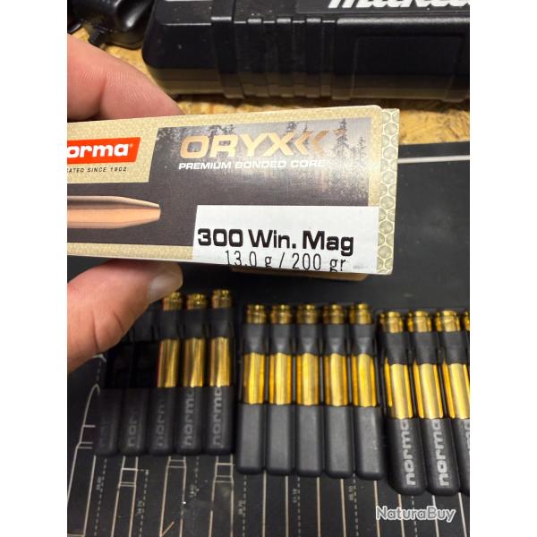Balles norma oryx 300 win mag