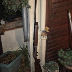 BERETTA AL391 EN EXCELLENT &Eacute;TAT