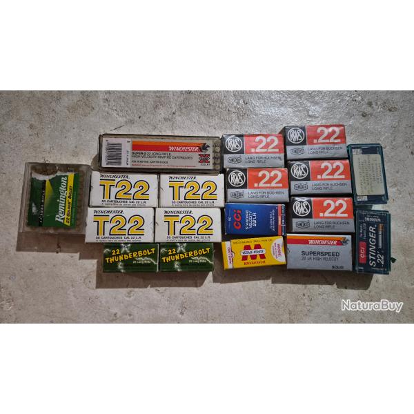 Lot de 1000 cartouches 22LR