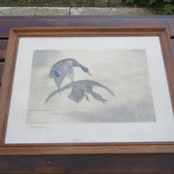 L&eacute;on DANCHIN "Canard en vol" Lithographie en couleur sign&eacute;e et num&eacute;rot&eacute; - FRANCE (XX&eacute;)
