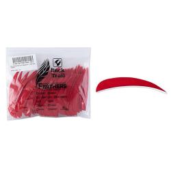 Lot de 100 plumes paraboliques Buck Trail RW 4 pouces couleur unie Rouge