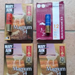 LIVRAISON OFFERTE ! 40 Cartouches 12/76 magnum