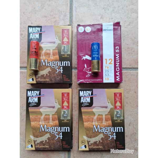 LIVRAISON OFFERTE ! 40 Cartouches 12/76 magnum