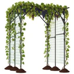 Arche treillis de jardin pour plantes grimpantes 200 x 150 x 197 cm soutien robuste et design &eacute;l&eacute;ga