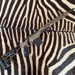 Carabine Remington Model 700 cal. 308 Win