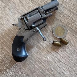 Puppy 320 bulldog