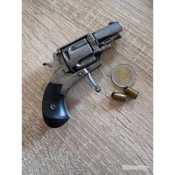 Puppy 320 bulldog