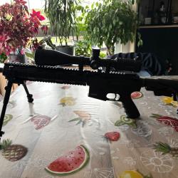 CHIAPPA M-FOUR 22LR TYPE AR 15 SEMI AUTO