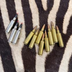 Lot de balles cal. 300 WSM