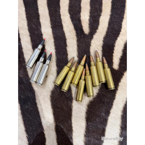 Lot de balles cal. 300 WSM