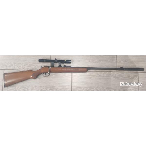 22lr + lunette + silencieux