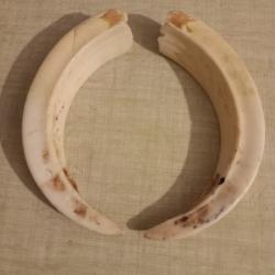 4 paires d&eacute;fense de sanglier