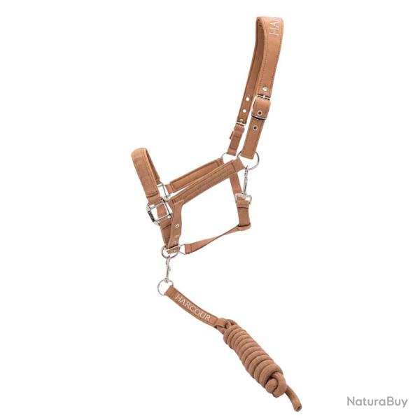 LICOL ET LONGE CINSY MOKA - CHEVAL - HARCOUR