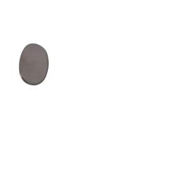 Ecusson Argent pour Crosse Version Luxe