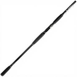 Canne Casting BFT 92 Ninety Two Big Fish Classic 8'6" 170g