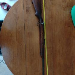 Carabine mauser es350