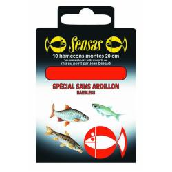 HAMECONS MONTES SANS ARDILLON 18/10