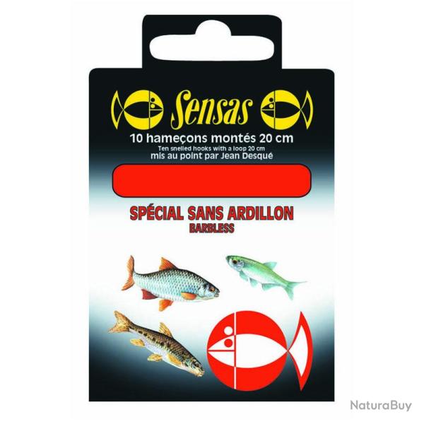 HAMECONS MONTES SANS ARDILLON 18/10