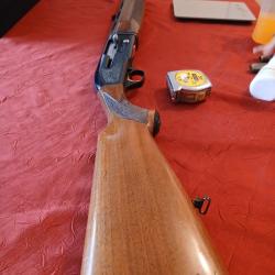 Beretta A301 magnum
