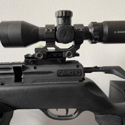 Mega pack Gamo Arrow 4.5Lunette + pompe + support