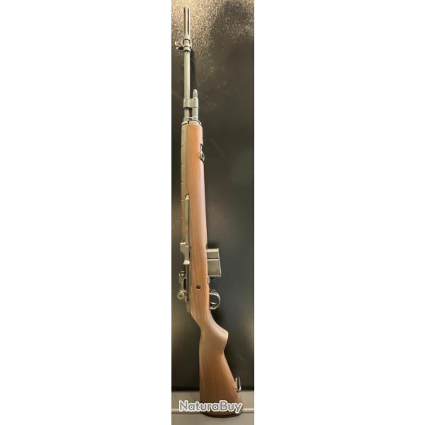 springfield armory M1A standard issue