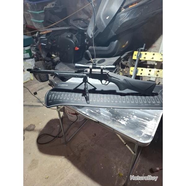 Carabine � pompe Rossi Gallery 22lr