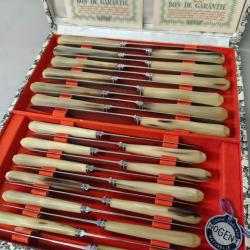 Ancienne m&eacute;nag&egrave;re neuve couteaux corne blonde