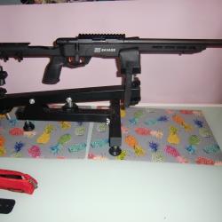 carabine 22 lr savage b22 precision