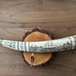 Reproduction d'une dent de Morse