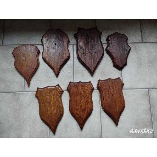 7 ECUSSONS BOIS POUR TROPHEES CHASSE CHEVREUIL CHAMOIS