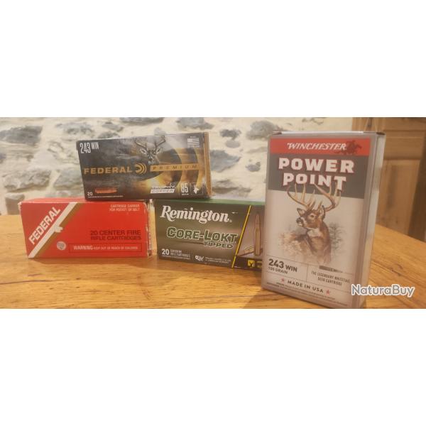 Lot munition 243win