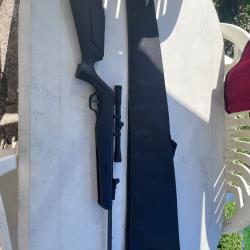 Carabine &agrave; plomb