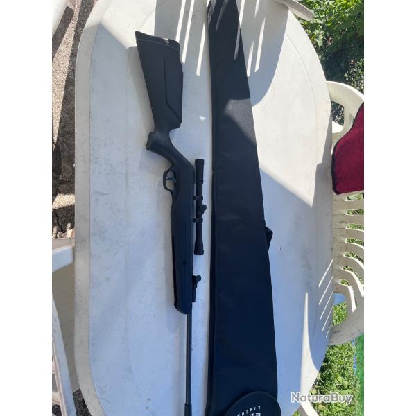 Carabine � plomb