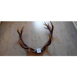 Massacre de cerf