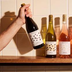 Trio d&eacute;couverte (3x75cl - blanc, rouge, ros&eacute;) du Domaine de Laballe, vigneron en cotes-de-gascogne