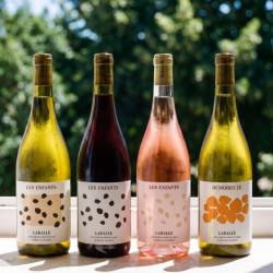 Carton d&eacute;couverte (6x75cl) du Domaine de Laballe, vigneron en cotes-de-gascogne