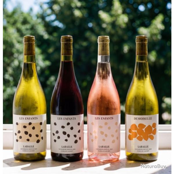 Carton d�couverte (6x75cl) du Domaine de Laballe, vigneron en cotes-de-gascogne