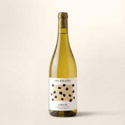 Les enfants, blanc sec du Domaine de Laballe, vigneron en cotes-de-gascogne