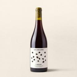 Les enfants, rouge du Domaine de Laballe, vigneron en cotes-de-gascogne