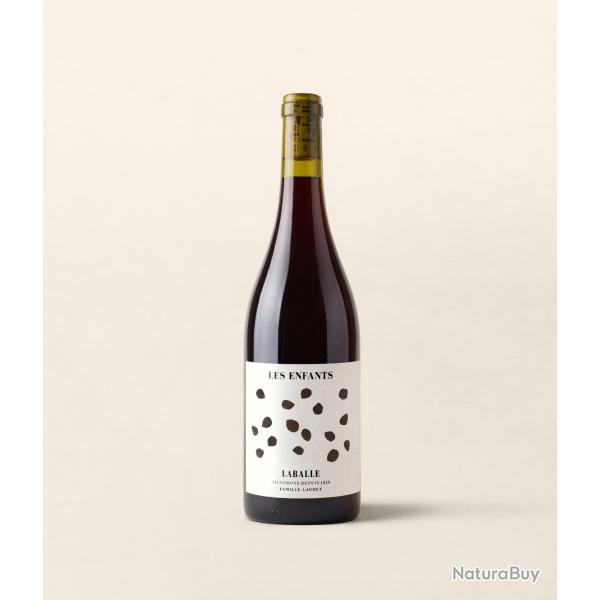 Les enfants, rouge du Domaine de Laballe, vigneron en cotes-de-gascogne