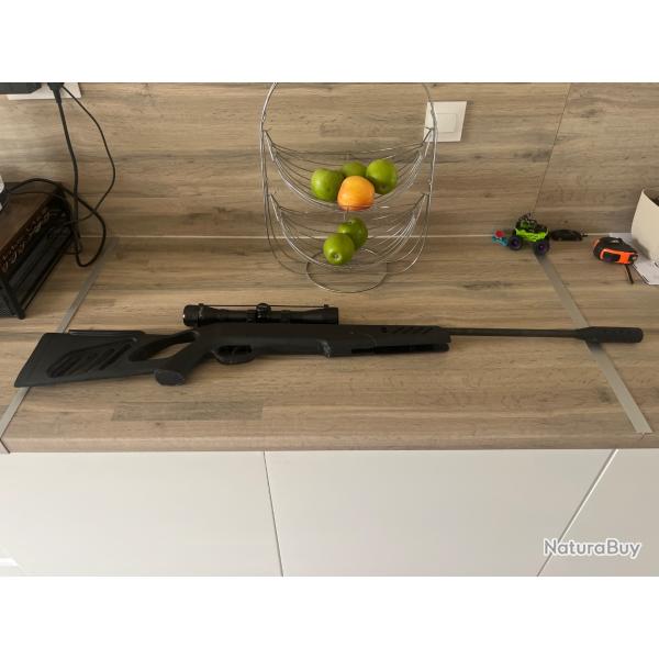 Carabine � air comprim�