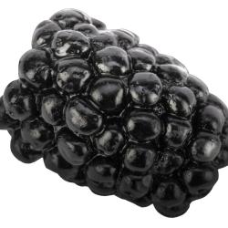 Leurre souple FISHUP Berry / M&ucirc;re 101 Black
