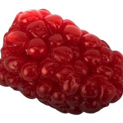 Leurre souple FISHUP Berry / M&ucirc;re 504 Raspberry